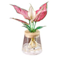 Miniatyrbillede 2 af 7: Mini Hydropon Blomster Krukke Hjem Vase Dekor Transparent Imitation Glas Smudfri Plante Krukker