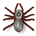 Miniatyrbild 4 av 7: Hög kvalitet Halloween Fjärrkontroll 11 2CH Infraröd Realistisk RC Spider leksak