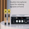 Miniatyrbillede 6 af 6: Højttaler højttaler effekt forstærker hjem Bluetooth effekt forstærker HIFI lyd forstærker