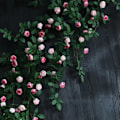 Miniatyrbilde 4 av 11: Kunstig Rose Blomster Rattan Vine Twine Og Fest Bryllup Hjem Gjerde Vegg Dekorasjon