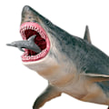 Miniatyrbillede 1 af 6: Marine Sea Life Megalodon Action Figur Klassisk Ocean Dyr Big Shark Fish Model