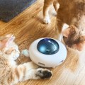 Miniatyrbild 3 av 7: Husdjur Svängskiva Fångande Träning Leksaker USB Laddning Katt Teaser Utbytbar Fjäder Interaktiv Auto Katt Toy Smart Teaser