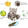 Miniatyrbilde 5 av 8: 6 stykker Naturlig Matatabi Katt Pinn Mint Fanget Bitt Spent Stenger Silvervine For Katt Tenner Rengjøring