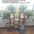 Miniatyrbild 5 av 9: 8 Huvud Automatisk Bevattning Pump Kontroller Växt Blomma Hem Sprinkler Dropp Bevattning Enhet Pump Timer System Trädgård Verktyg