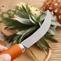 Miniatyrbilde 5 av 5: Rustfritt stål Ananas Kniv Grønnsak Frukt  Skreller Tre håndtak kutter