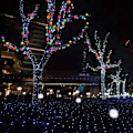 Miniatyrbilde 5 av 5: Solcellelampe Garland, 50 LED 7M med 8 stilige belysningsmoduser, lysdekorasjon for hage, terrasse, juletre, fest