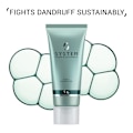 Pikkukuva 5 / 8: System Professional Purify Shampeeling 150ml Gold