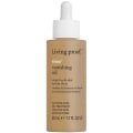 Miniatyrbillede 1 af 4: Living Proof No Frizz Vanishing Oil 50ml Grey
