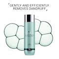 Miniatyrbillede 4 af 7: System Professional Purify Shampoo 250ml Gold
