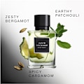 Pikkukuva 3 / 5: David Beckham Instinct Edp 75ml Black