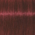 Miniatyrbillede 1 af 3: Schwarzkopf Professional Igora Vibrance Kit 5-88 Light Brown Red Extra Transparent
