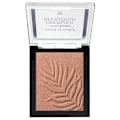 Pikkukuva 2 / 3: Wet n Wild Color Icon Bronzer Palm Beach Ready Transparent