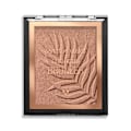 Miniatyrbillede 1 af 3: Wet n Wild Color Icon Bronzer Palm Beach Ready Transparent