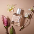 Miniatyrbillede 3 af 4: Clean Classic Nordic Light Edp 30ml Beige