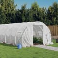 Växthus med stålram vit 24 m² 8x3x2 m