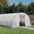 Växthus med stålram vit 18 m² 6x3x2 m