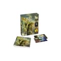 Fallen Angel Oracle Cards :