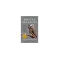 What an Owl Knows (pocket, eng)