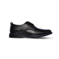 Bregman Shoe Black Male