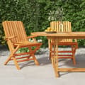 Hopfällbara trädgårdsstolar 2 st 61x67x90 cm massiv teak