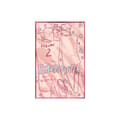Heartstopper Volume 2 (inbunden, eng)