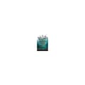 The Wicked King (pocket, eng)
