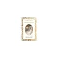 Alice in Wonderland (inbunden, eng)
