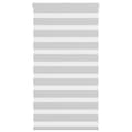 Rullgardin zebra ljusgrå 70x100 cm tyg bredd 65,9 cm polyester