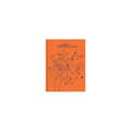 Studio Ghibli Howl's Moving Castle Notebook (häftad, eng)