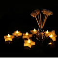Miniatyrbillede 2 af 5: Kreativt Stjernelys Formet Dekorativt Flammefrit Lys 12 Stk