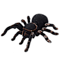 Miniatyrbilde 4 av 5: For Rc Spider Realistisk Infrarød Rc Dyr Tarantula Med Belysning Fjernkontroll |rc Dyr Ws1030