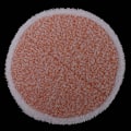 Miniatyrbild 4 av 5: 4-pack Tunga Skrubbmoppdynor Ersättning för Bissell Spinwave 2039A 2124 Drivna Hårdgolvsmoppar Orange