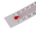 Miniatyrbild 4 av 5: 10 st 5cmX1.1cm Miniatyr Papperskartong Termometer Inomhus -20-50 Celsius[D] 10PCS