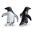 Miniatyrbilde 4 av 5: 11 stk/sett Pingvinmodell Minste Detalj Samleobjekt Solid Antarktiske Dyr Pingvin Figur Lekekombo For Hylledekor
