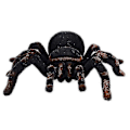 Miniatyrbilde 3 av 5: For Rc Spider Realistisk Infrarød Rc Dyr Tarantula Med Belysning Fjernkontroll |rc Dyr Ws1030