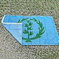 Pikkukuva 2 / 5: Aerlxemrbrae Lippu 90*150cm Eritrean historiallinen lippu 1952-1961 Eritrean kansallisliput ja -bannerit sisustukseen[D]