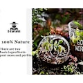 Miniatyrbillede 3 af 5: Kødædende Plante Jordblanding 4qt, Sphagnum Tørvemos Perlit Blanding 1:1 Forhold, Kødædende Jord til Venus, Soldug og Kandeplanter 1qt[D]