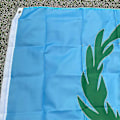 Pikkukuva 4 / 5: Aerlxemrbrae Lippu 90*150cm Eritrean historiallinen lippu 1952-1961 Eritrean kansallisliput ja -bannerit sisustukseen[D]