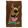 Miniatyrbillede 2 af 5: Scooby Doo Scooby Happy Silky Touch Super Soft Kastetæppe fsgyde48[D] 40x30in 76x102cm