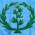 Pikkukuva 5 / 5: Aerlxemrbrae Lippu 90*150cm Eritrean historiallinen lippu 1952-1961 Eritrean kansallisliput ja -bannerit sisustukseen[D]