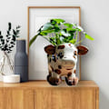 Miniatyrbillede 5 af 5: Sød lille blomsterpotte altan have indendørs stue skrivebord harpiks ornamenter opbevaringsboks dekoration GAO242278