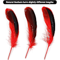 Miniatyrbillede 2 af 5: 100 stk Røde Andefjer 4-6 tommer 10-15cm Bulk Naturlige Fjer Håndværk Karneval Fest Tøj Hat Tilbehør Dekorationer