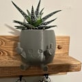Miniatyrbild 4 av 5: Leende växtkruka - bedårande blomkruka med lekfullt långfingerdesign - unik planteringskruka för suckulenter - rymmer små växter White