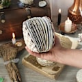 Miniatyrbillede 3 af 5: Abalone Shell/Lions Paw Shell/Scallop Shell Journal, Unik Premium Hardcover Ocean Series Sticky Note Pad, Naturlige Skaller Teksturer Kreativ Sketchboo C