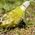 Miniatyrbillede 5 af 5: Varmelampe, Skildpaddevarmepære Varmeemitterende Lampe, 3 Uva Uvb Pærer 25w, 50w Og 75w, Og Vandtank Temperaturtester