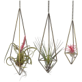 Miniatyrbild 1 av 5: Set om 3 geometriska luftväxthållare i brons, Himmeli för Tillandsia, hängande planteringskorg för luftväxter