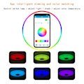 Miniatyrbilde 5 av 5: LED-taklampe med Bluetooth-høyttaler, RGB LED-taklamper, styring via smarttelefon-app, fjernkontroll for fargeendring, montering av belysning