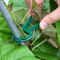 Miniatyrbillede 3 af 5: 60 stk. Planteclips, Fjederclips Planteunderstøttelse til Tomater og Vinplanter - SFYGV