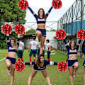 Miniatyrbillede 5 af 5: 4 stk. Cheerleading Pom Poms