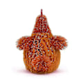Miniatyrbild 3 av 4: 23cm Jellycat plyschleksaker söta mjuka stoppade animationskyckling hemrum inredning dockor för barn födelsedag julklapp-Superior